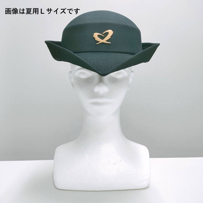 JR東海誕生  実車取付けヘッドマーク 列車に自作のヘッドマーク付けJR東海乗務員がホームで撮影 写真