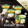ｼﾝｶﾝｾﾝｽｺﾞｲｶﾀｲｱｲｽ（シャインマスカット）11個入り