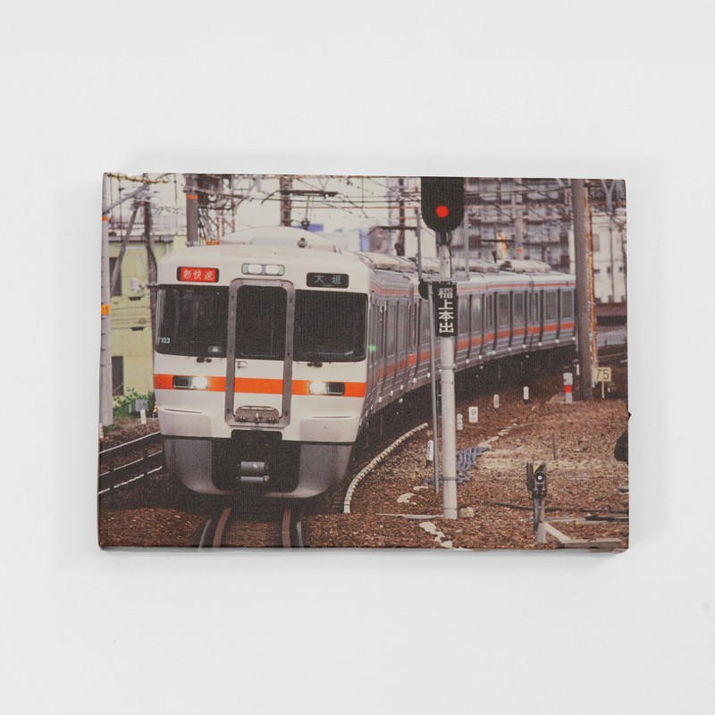 キャンバスライト　313系