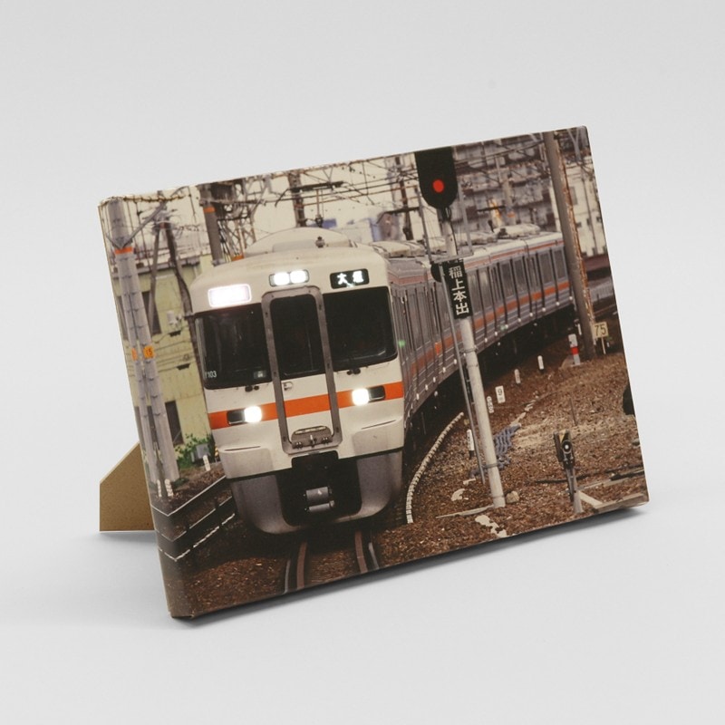 キャンバスライト　313系