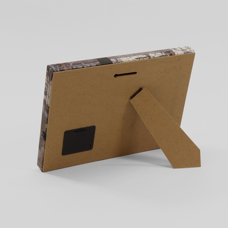 キャンバスライト　313系