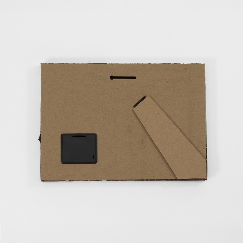 キャンバスライト　313系