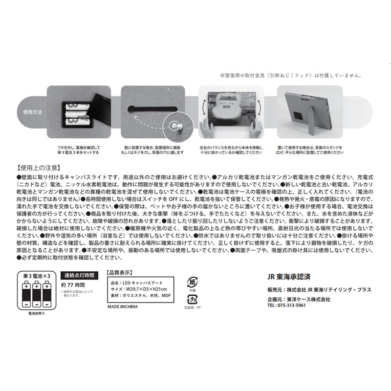 キャンバスライト　313系