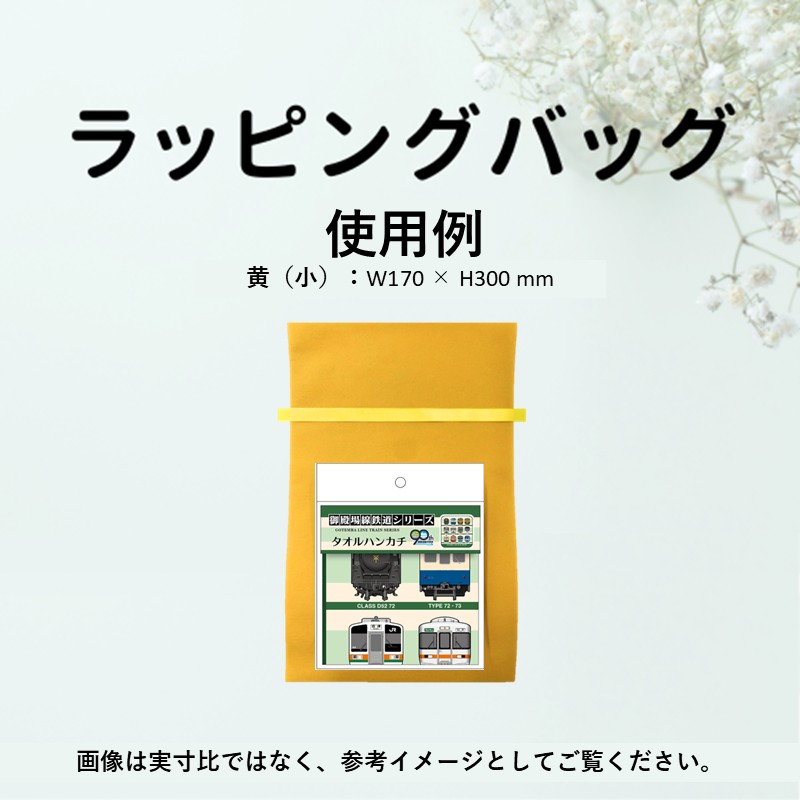 ラッピングギフトバッグ【有料】