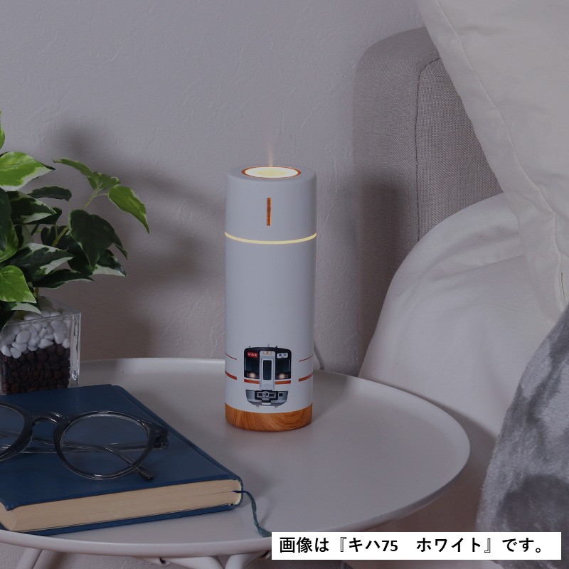 コンパクト加湿器（C62 17／グレー）