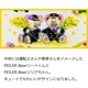 FEILERۥϥ󥫥 CLASS 923 Dr.YELLOW HAPPY MIMOZAʥ֥롼