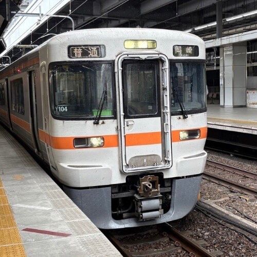 トレインパスケース（313系）