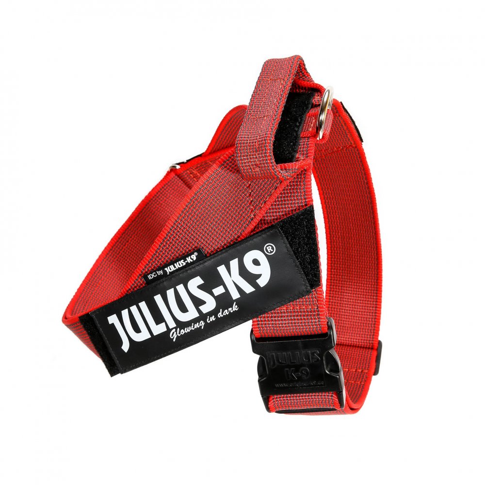 大型犬用 ハーネス IDC® Color & Gray belt harness (IDC® ベルトハーネス) Size1