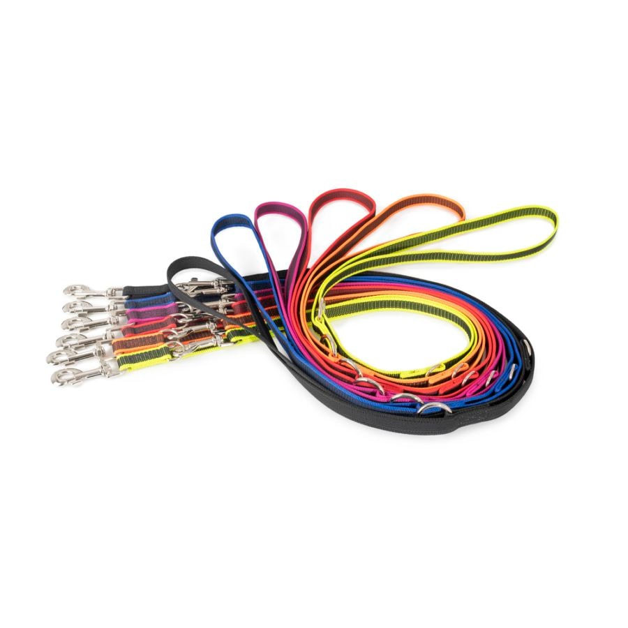 IDC Color & Gray leash - with double carabiner clip