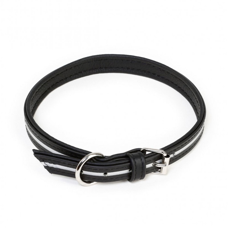 IDC® Lumino collar (蓄光 首輪)