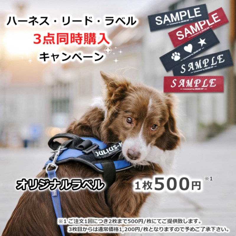 【ハーネス・リード・ラベル3点同時購入対象】【500円ラベル】 オリジナルラベル