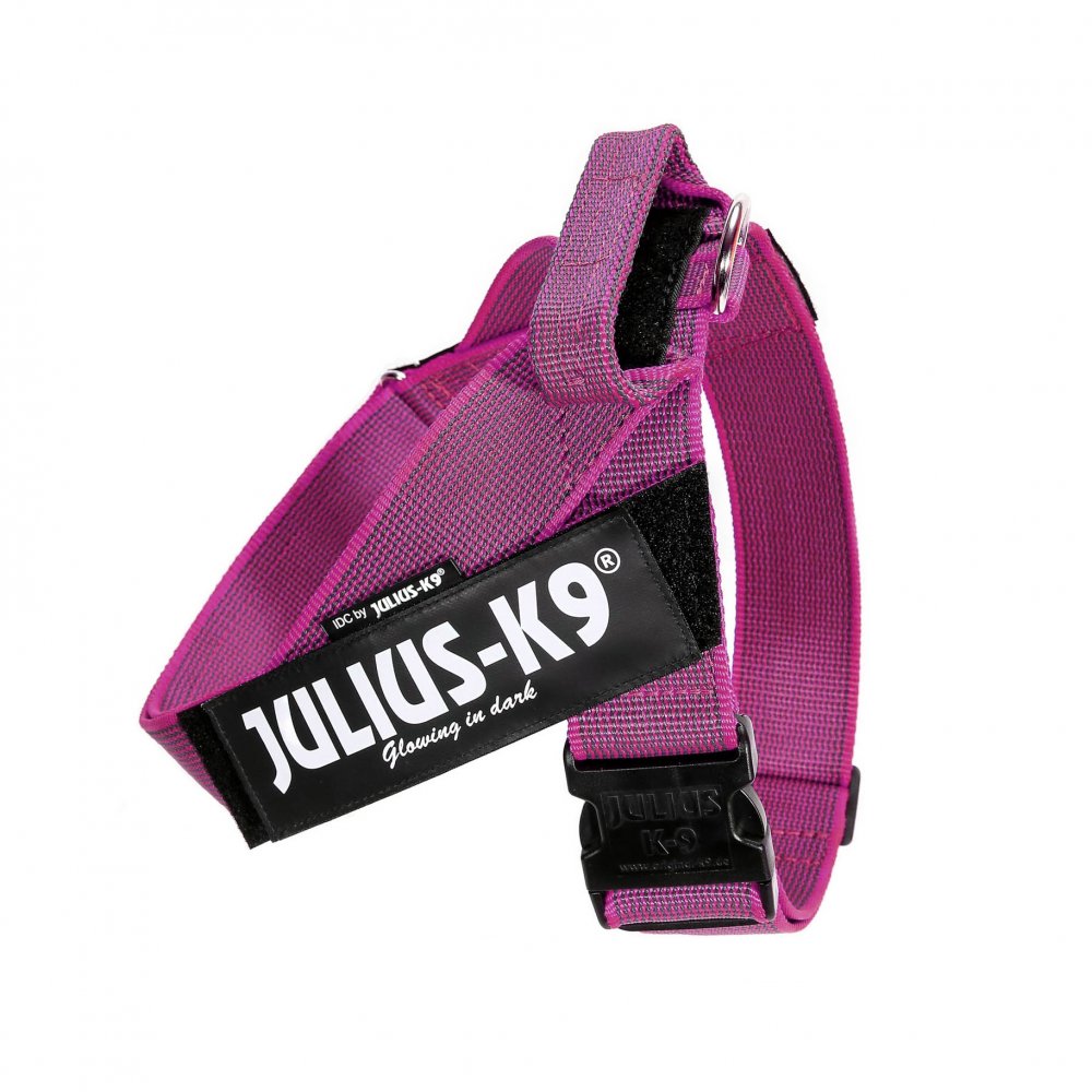 IDC® Color & Gray belt harness (IDC® ベルトハーネス) Size1