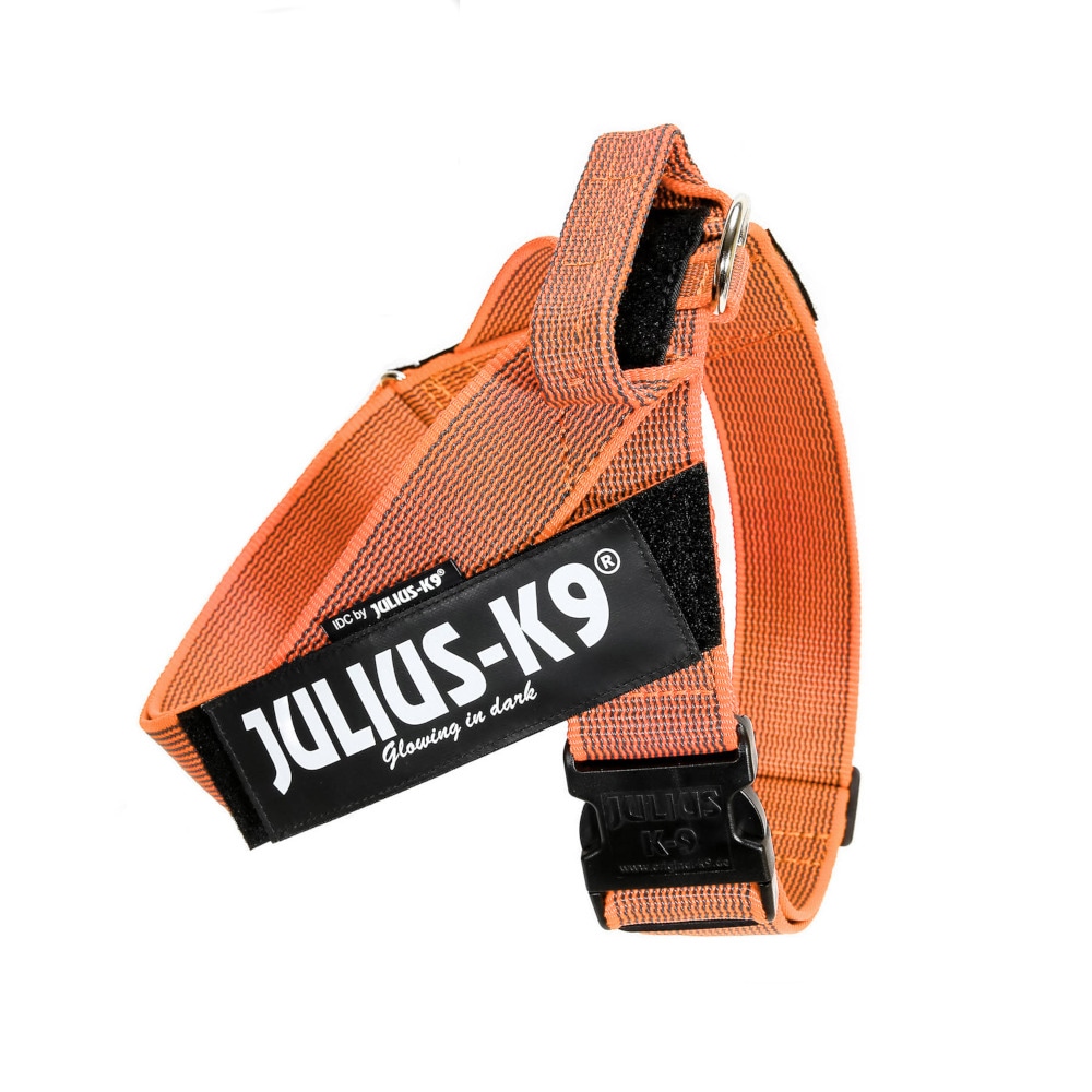 Julius-K9 ハーネス IDC® Color & Gray belt harness (IDC® ベルトハーネス) Size1