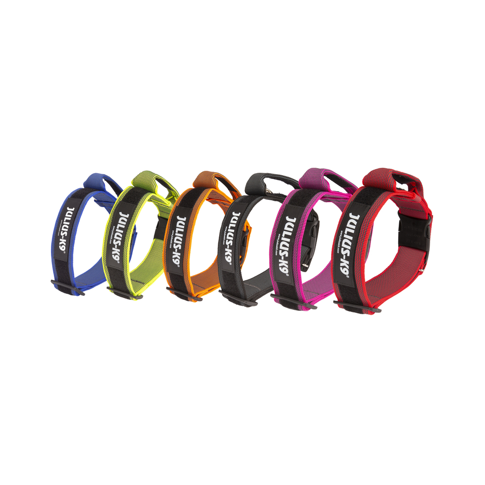IDC® Color & Gray collar - with handle (IDC® カラー&グレイシリーズ