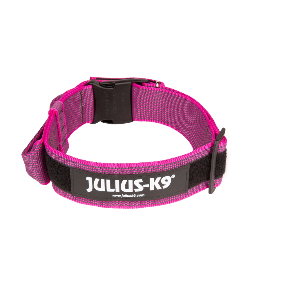 IDC® Color & Gray collar - with handle (IDC® カラー&グレイ