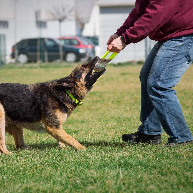 Pulling toys - Cotton/Nylon tug (ハンドル付き綱引きおもちゃ - コットン/ナイロンタイプ)