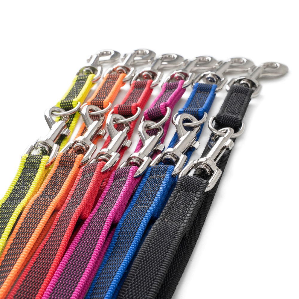 IDC Color & Gray leash - with double carabiner clip