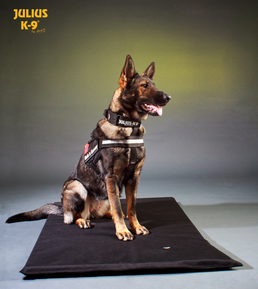 【関税込み】JULIUS シルバー ボディチェーン ハーネス 中型犬・大型犬・超大型犬用 ハーネス【ステルス/Stealth】正規