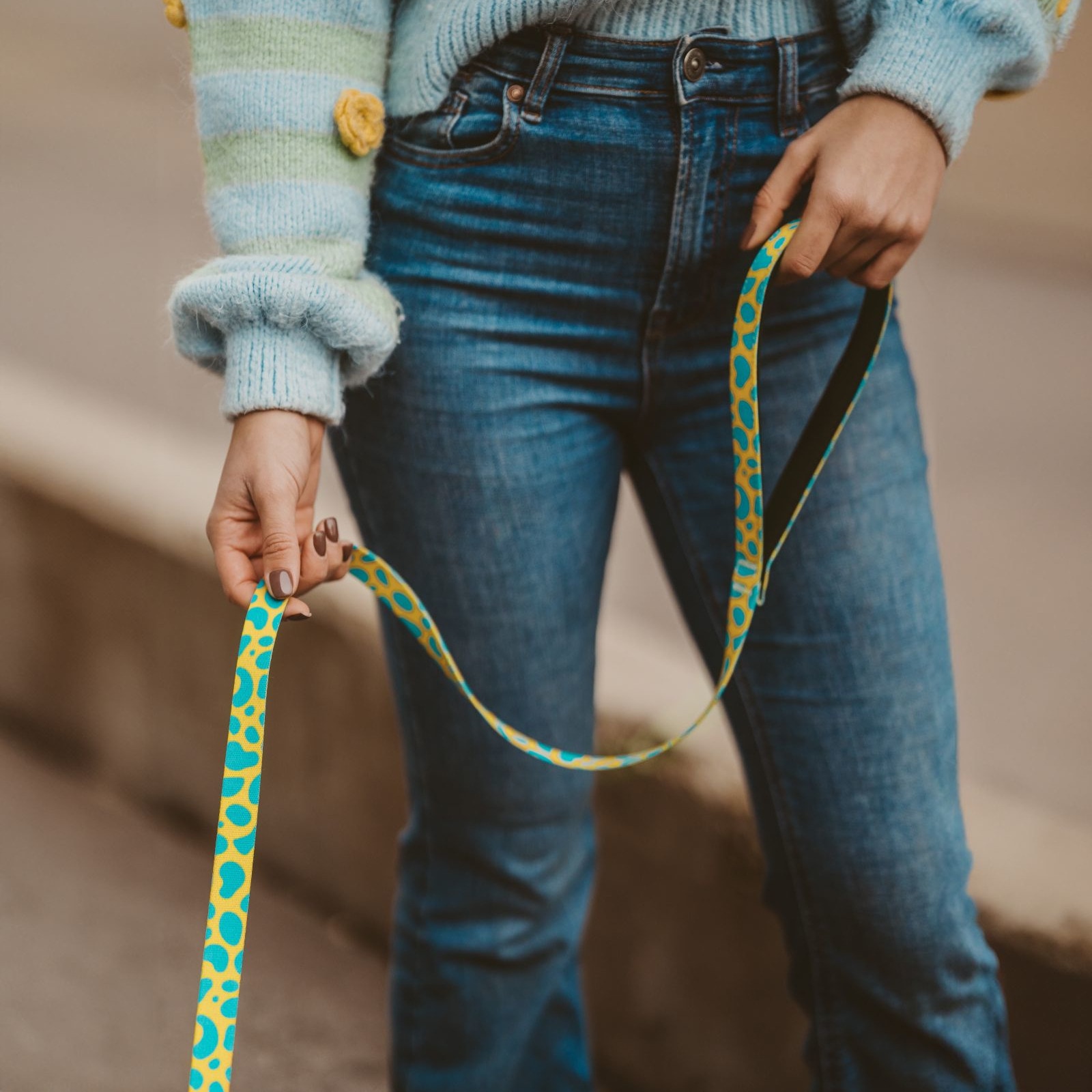 MoreColor leash - with padded handle (モアカラー・リード