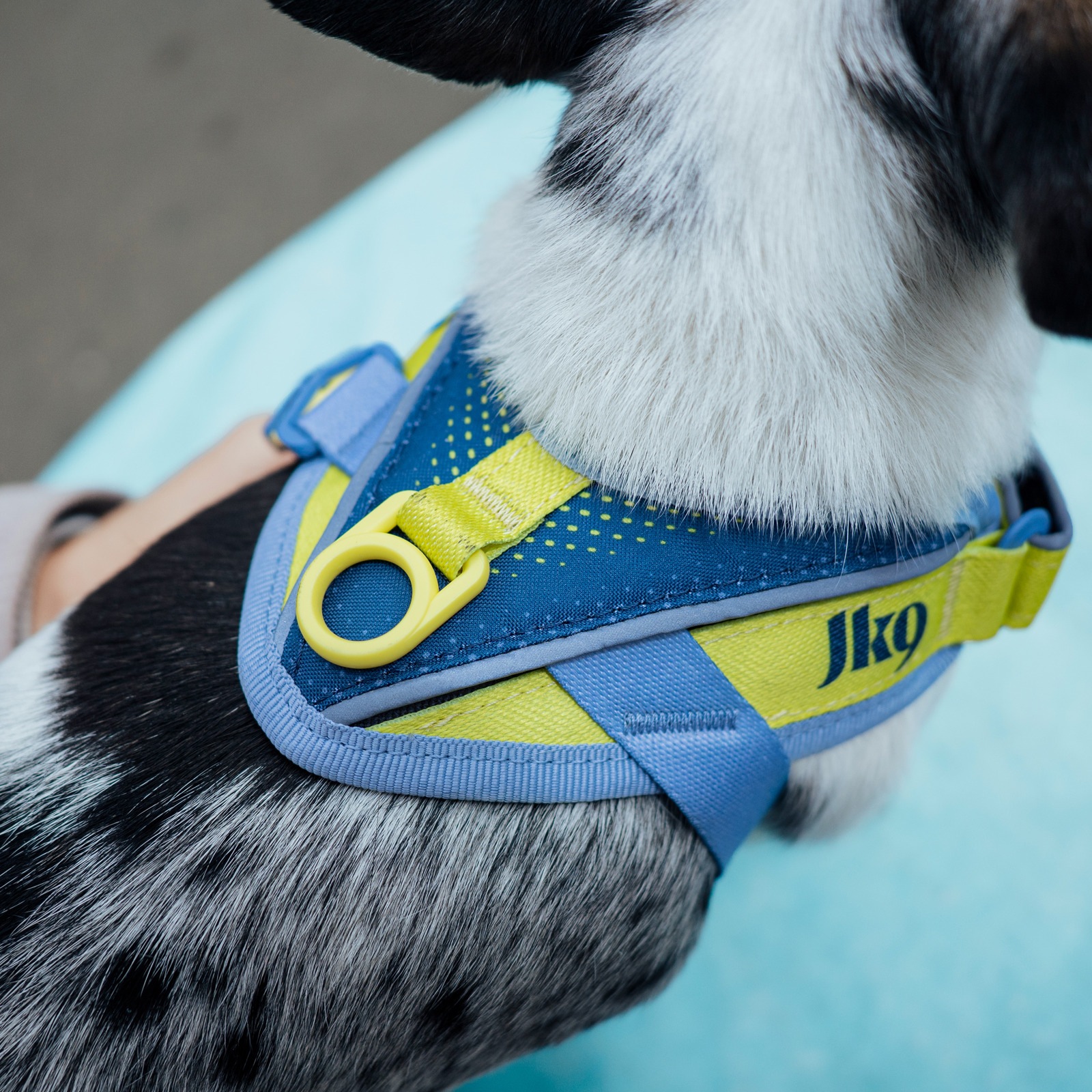 JK9 Street harness (ストリートハーネス) 小型犬用 | ハーネス,JK9