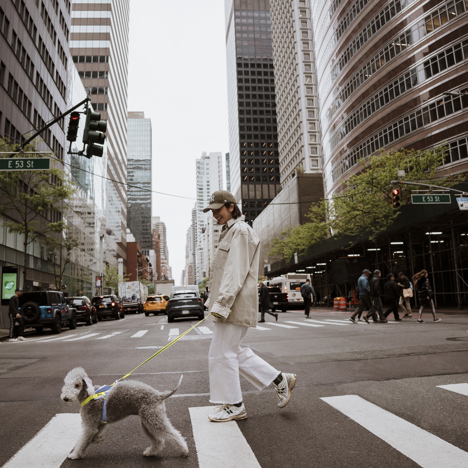 JK9 Street harness (ストリートハーネス) 中型犬用