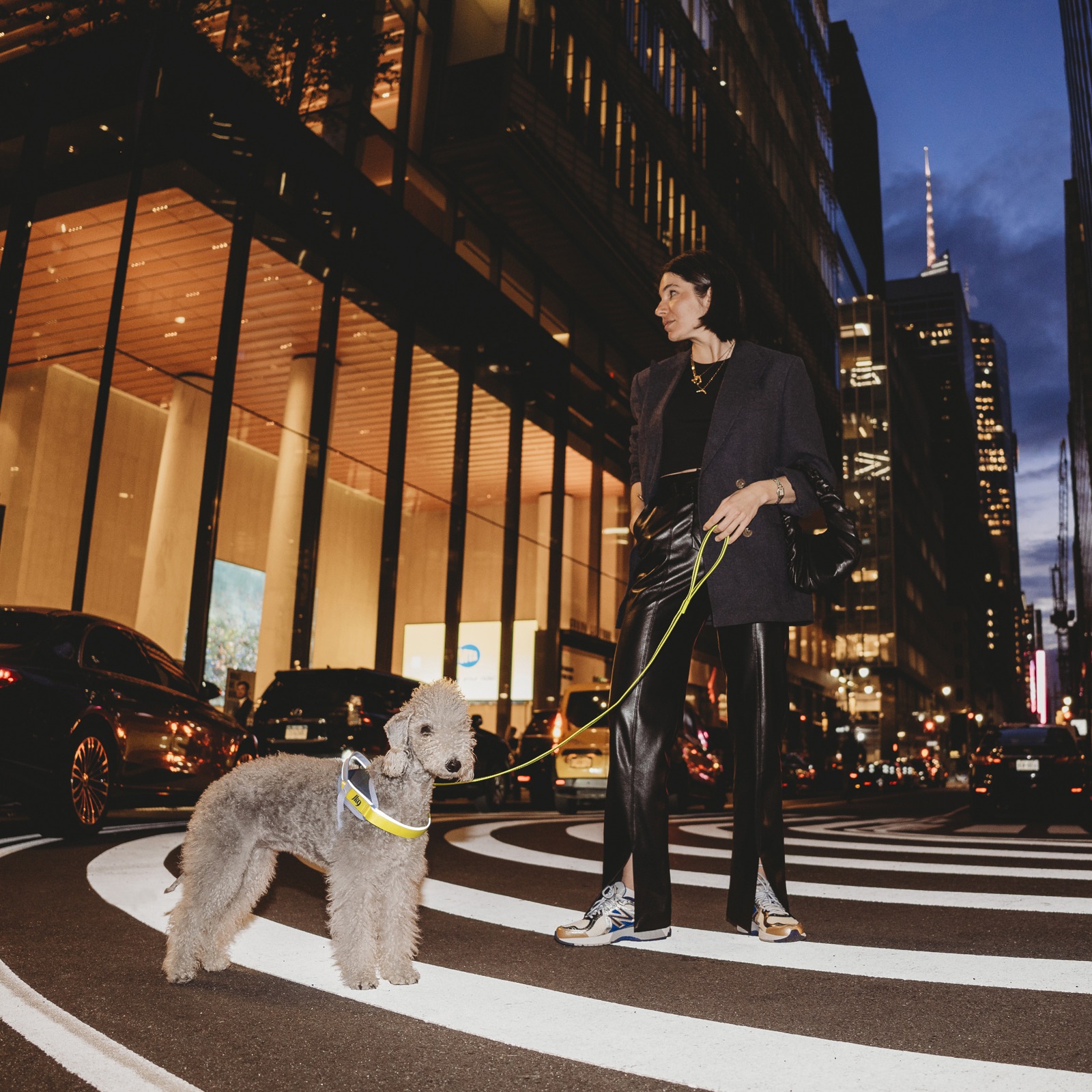 JK9 Street harness (ストリートハーネス) 中型犬用