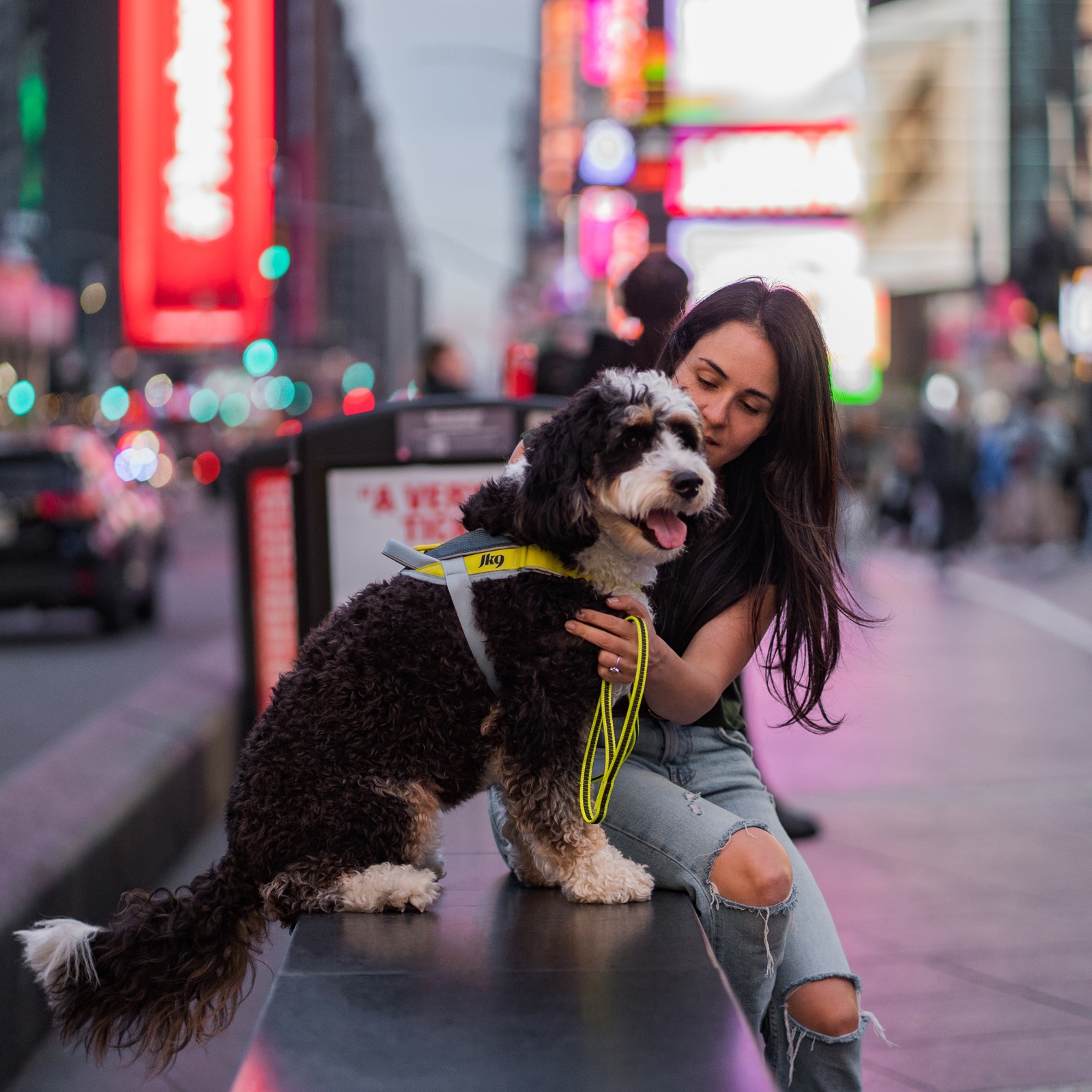 JK9 Street harness (ストリートハーネス) 中型犬用