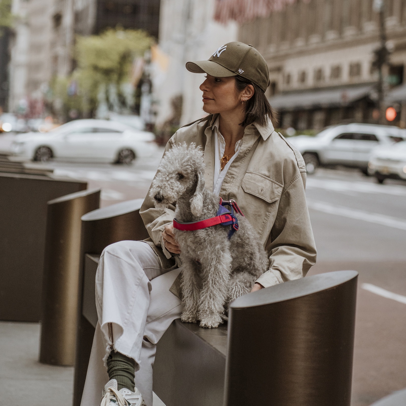 JK9 Street harness (ストリートハーネス) 中型犬用