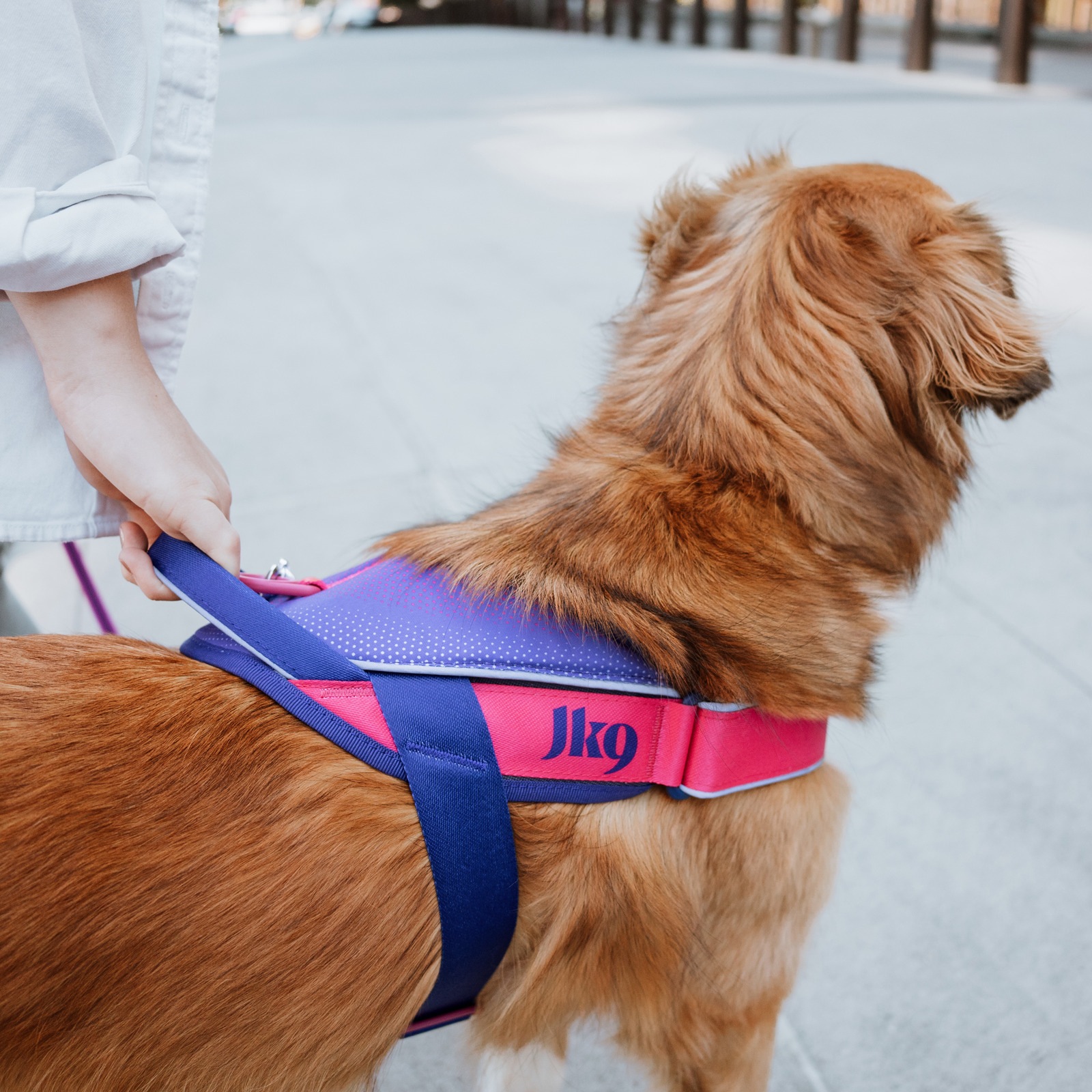 甲獣　9枚セット JK9 Street harness (ストリートハーネス) 大型犬用 | ハーネス