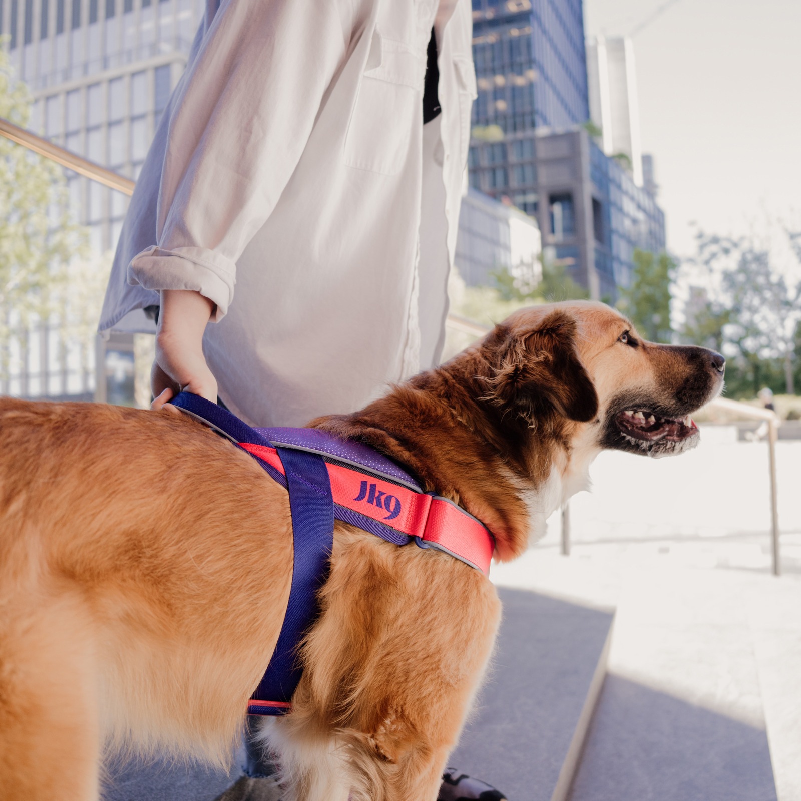 JK9 Street harness (ストリートハーネス) 大型犬用