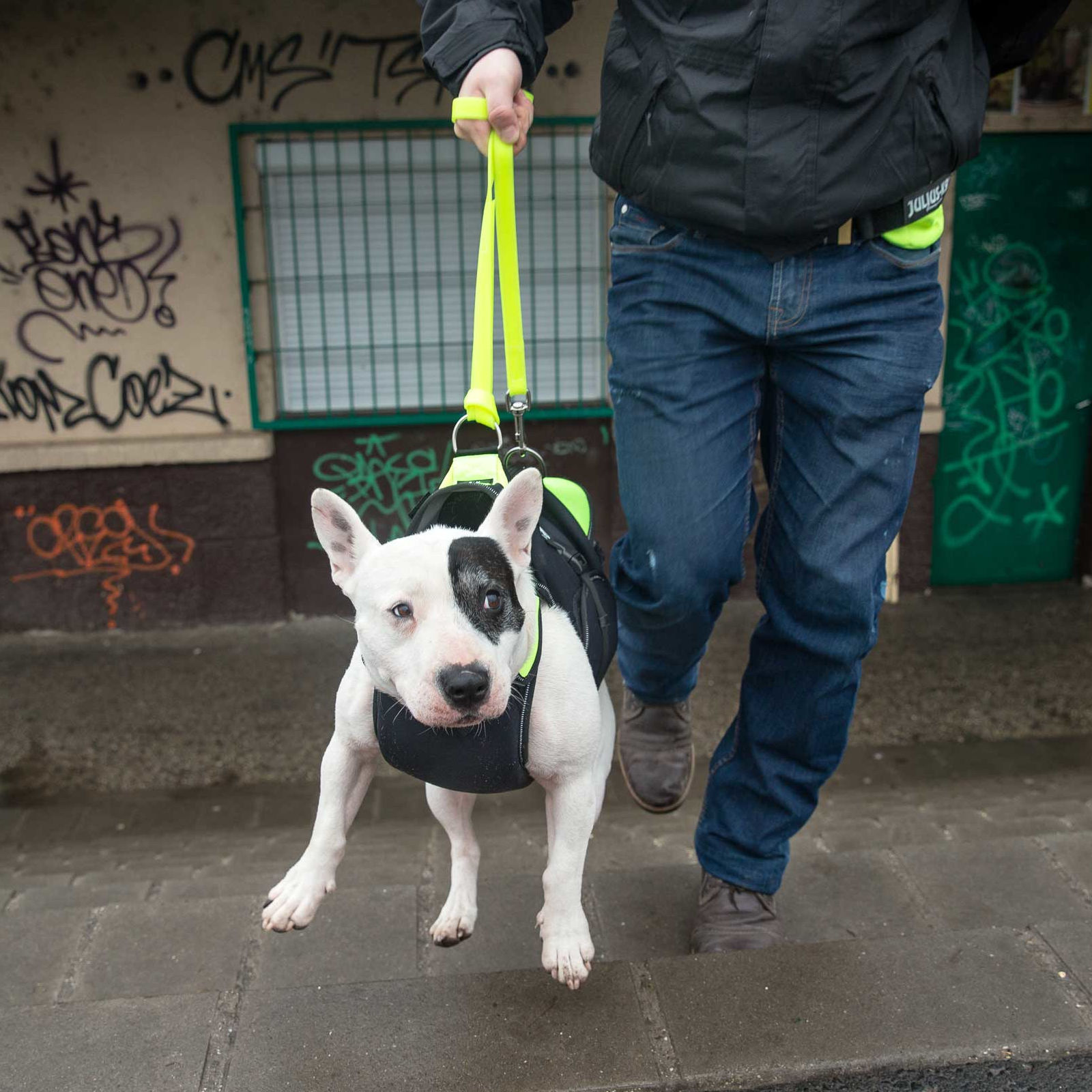 IDC Multifunctional 3in1 dog vest (多機能 3in1 ドッグベスト