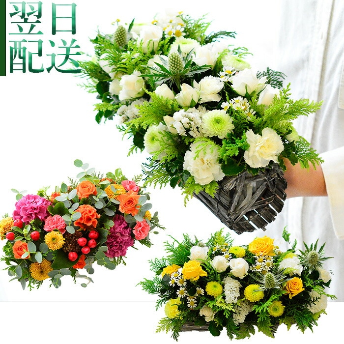 【Seeds Garden】