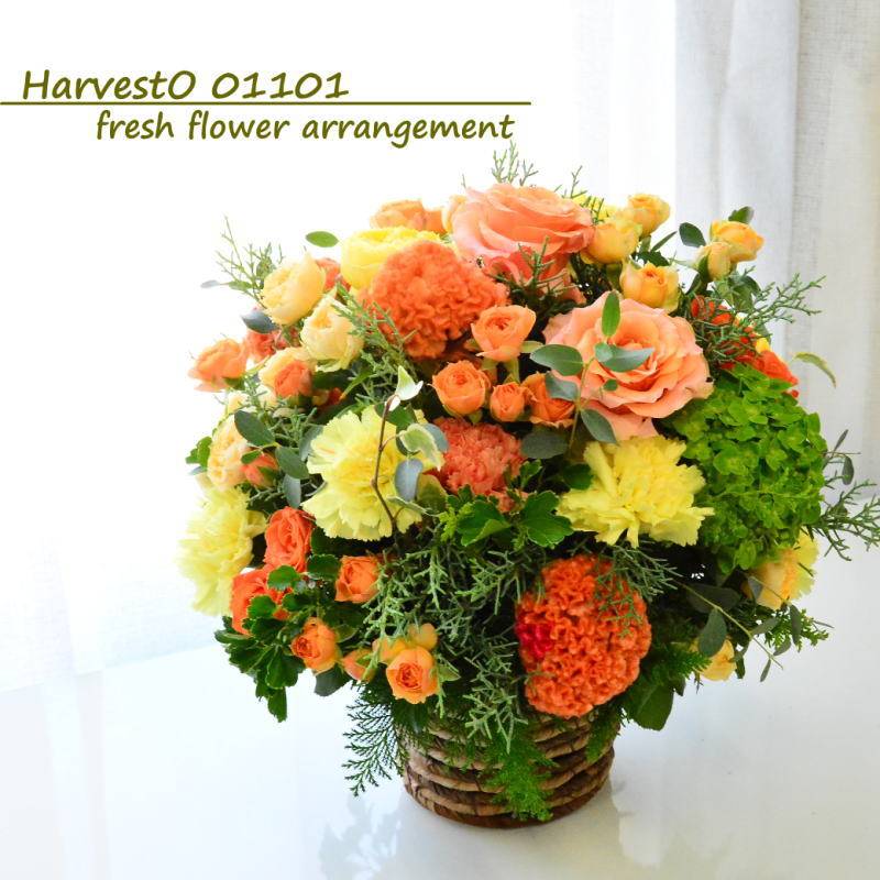 【HarvestO 01101】