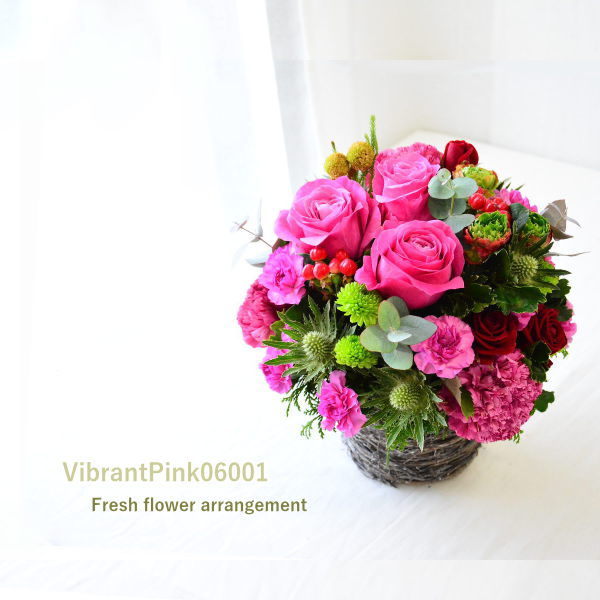【VibrantPink06001】