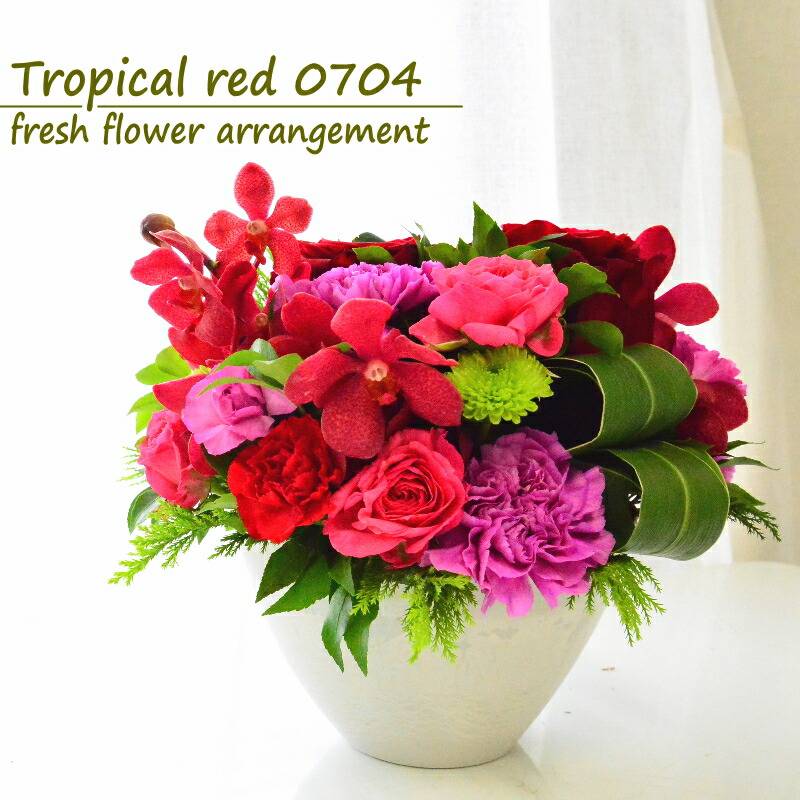 【Tropical red 0704】