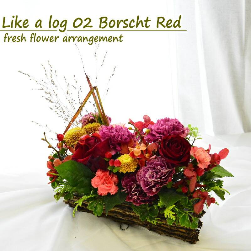 【Like a log02 Borscht Red 】