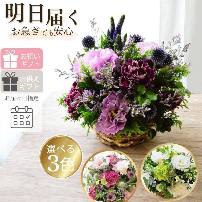 RaisinBlue04001 ～レイズン・ブルー04001～