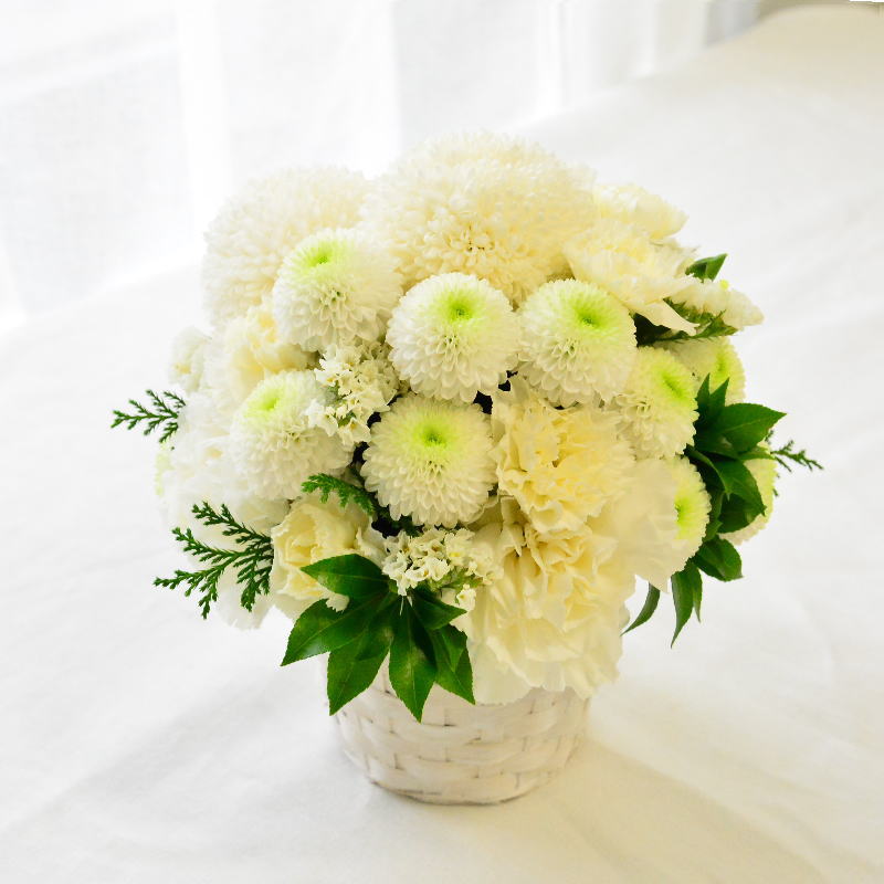 あす楽敬老の日生花フラワーアレンジメント結婚祝いマムまるい花フラワーギフト送料無料白グリーンプレゼント受付記念日新築祝いおしゃれウエディングお祝いかわいい