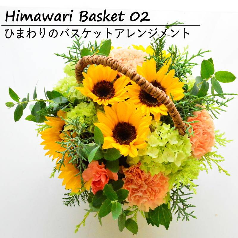 【Himawari Basket 02】