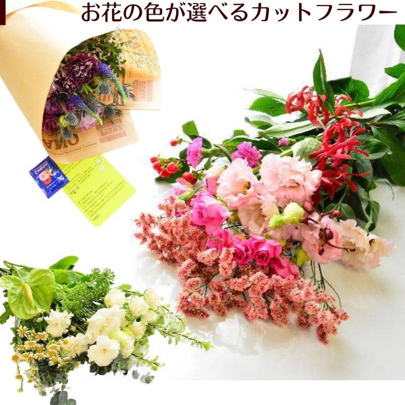 25％off　クール便付き　9月4日まで【生花のおまかせ切り花】
