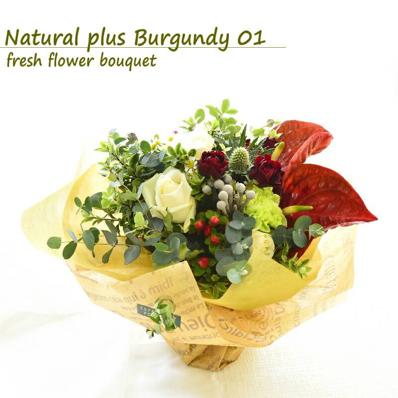 【Natural plus Burgundy 01】