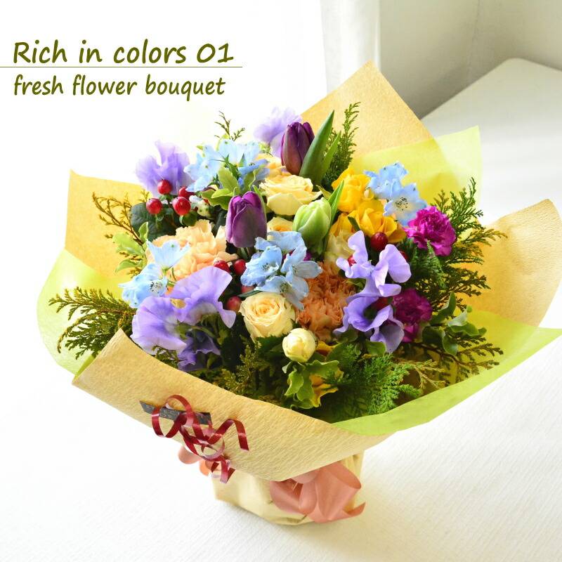 【Rich in colors 01】