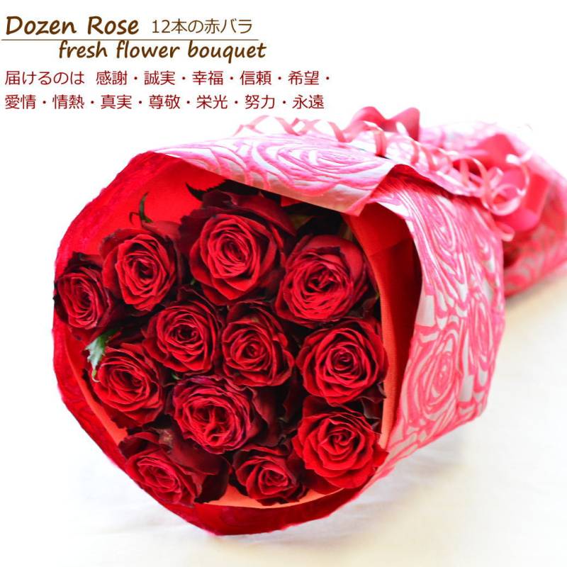 【RED ROSE 12】