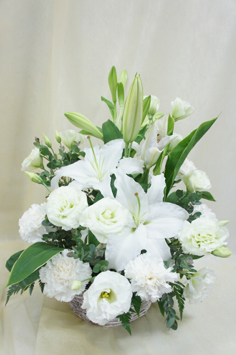 あふぎ（扇）星