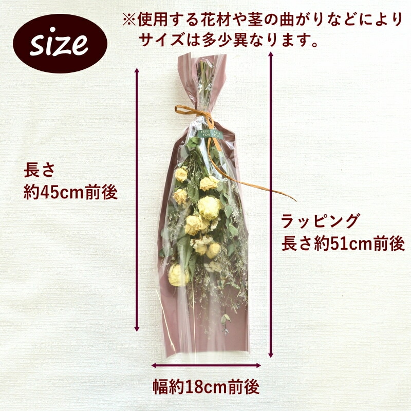 サイズ