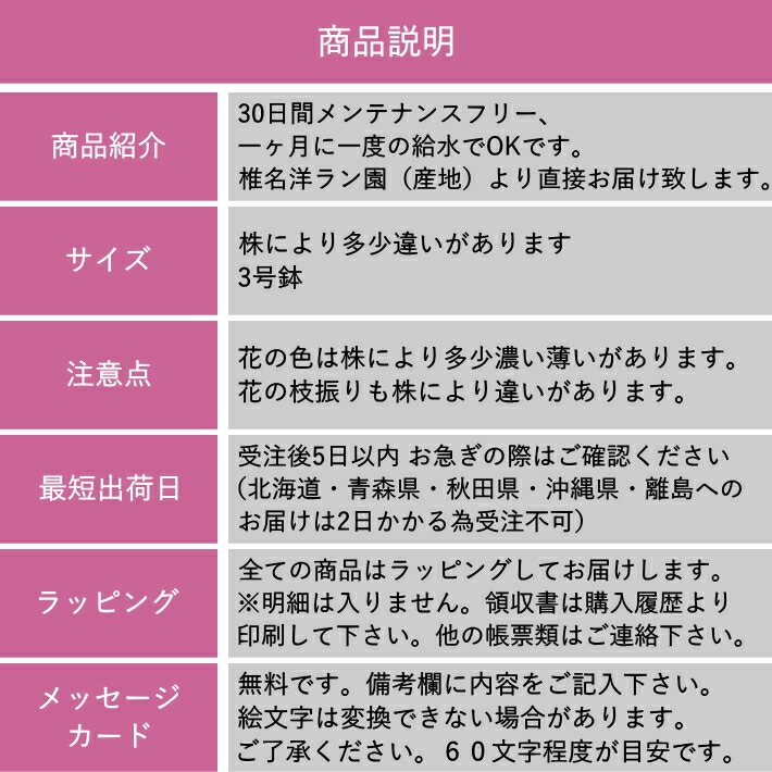 説明