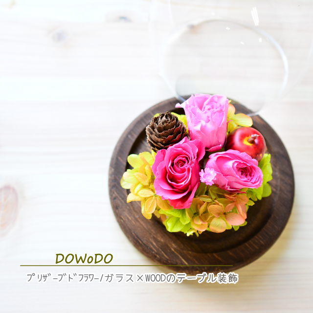 DOWoDO