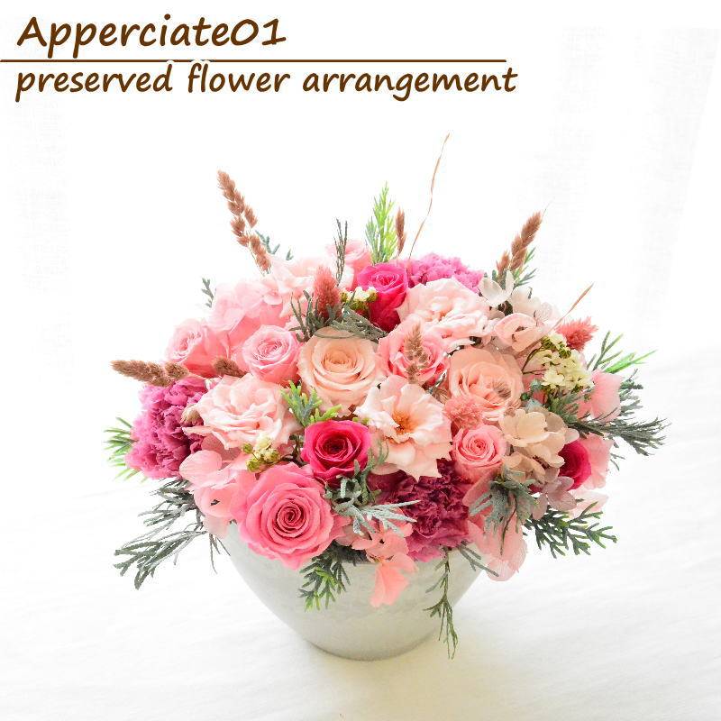Preserved 【Apperciate 01】