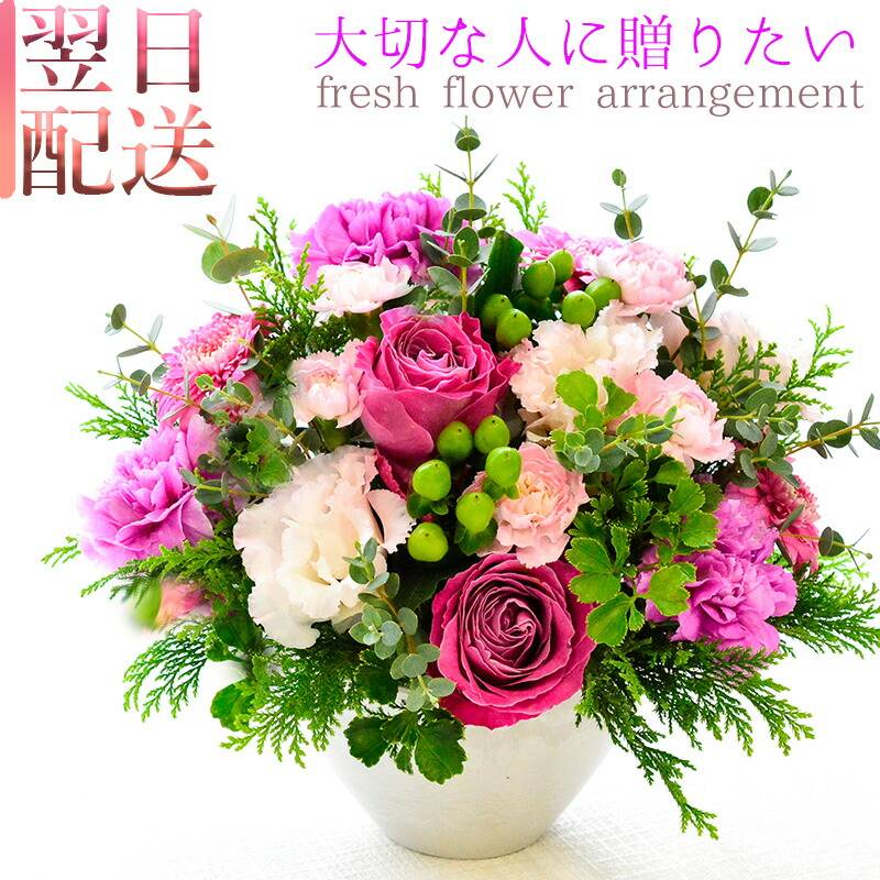 【BerryPink06503】