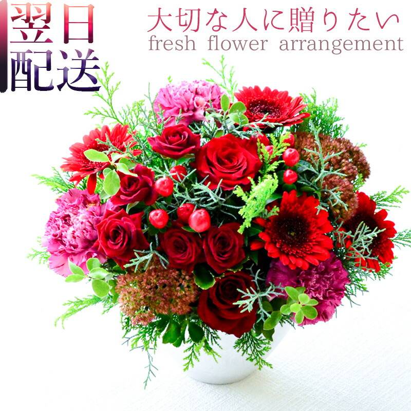 【Garnet red06505】